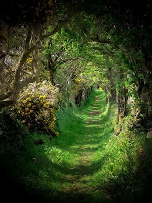 Photo:  Old Road, Ballynoe, County Down, Ireland